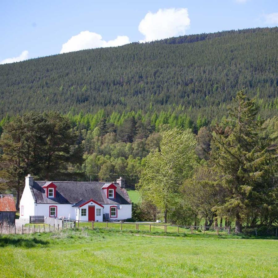 The Croft Cottage - Near Aviemore Esterno foto